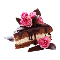Torta al cioccolato (fetta), Pasticceria Rosetta