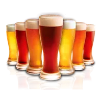 Birra artigianale ambrata, Ribollita & Co.