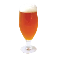 Birra SemFood alla spina 40 cl, Brace e Lievito
