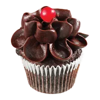 Schoko-Cupcake, Backstube Krümelglück