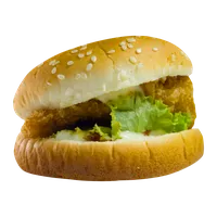 तंदूरी चिकन बर्गर, द बर्गर गैराज