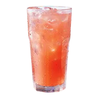 Holunderblütenlimonade, Salon Hoheneck