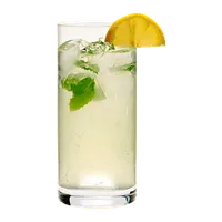 Ingwer-Limonade, Grünzeug Burger