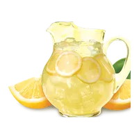Rhabarberlimonade, Gutsküche Eichenhain