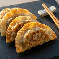 揚げ餃子 10個, 揚げ餃子と点心 福来