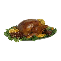 Arrosto di tacchino (4 fette), Rosticceria Spiedo d'Oro