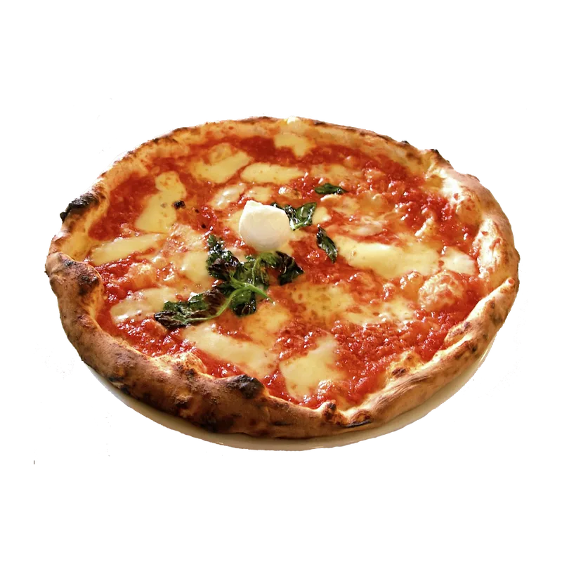 Margherita contemporanea, Canotto 72