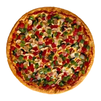 Vegetarian Special, Golden Crust Takeaway