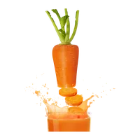 有機にんじんジュース, ファームキッチン 野の花