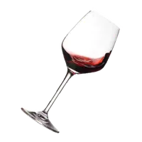 Vino tinto de la casa, Parrilla al Paso Don Beto