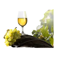 Vino tinto de guarda, copa, Fermento